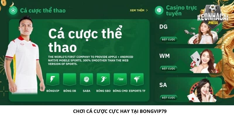 Chơi cá cược cực hay tại Bongvip79